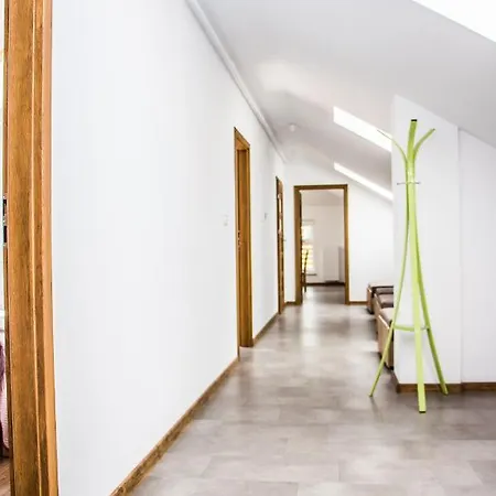 Daire Pogon Krynica Zdroj